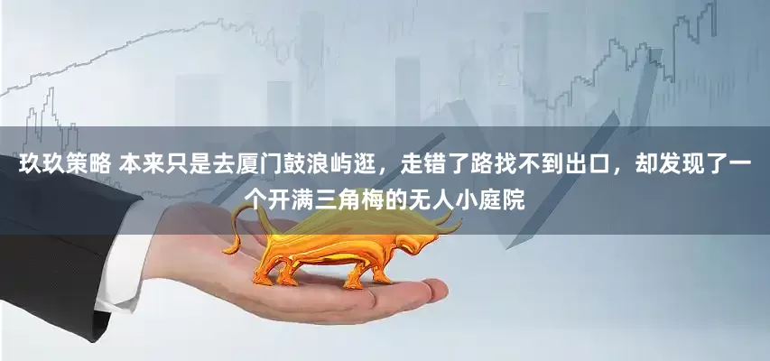 玖玖策略 本来只是去厦门鼓浪屿逛，走错了路找不到出口，却发现了一个开满三角梅的无人小庭院